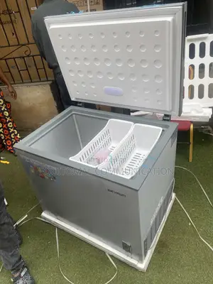 Skyrun 260L BD-260A Chest Freezer for Frozen Goods