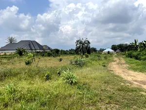 A Nice Parcel of Land Off Aka Numg Udoe Road, Ikot Obiodongho