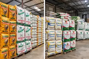 Chicken Feed Distributor/Dealer