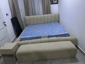 Bed Frame and Mattress