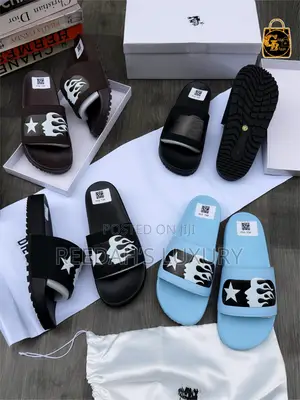 Fully Boxed Luxury Designer Slides