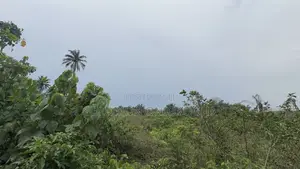 Plots of Land