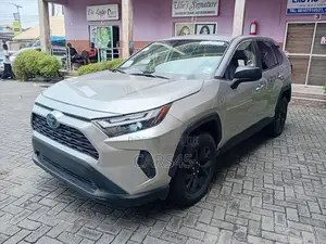 Toyota RAV4 LE FWD 2024 Silver