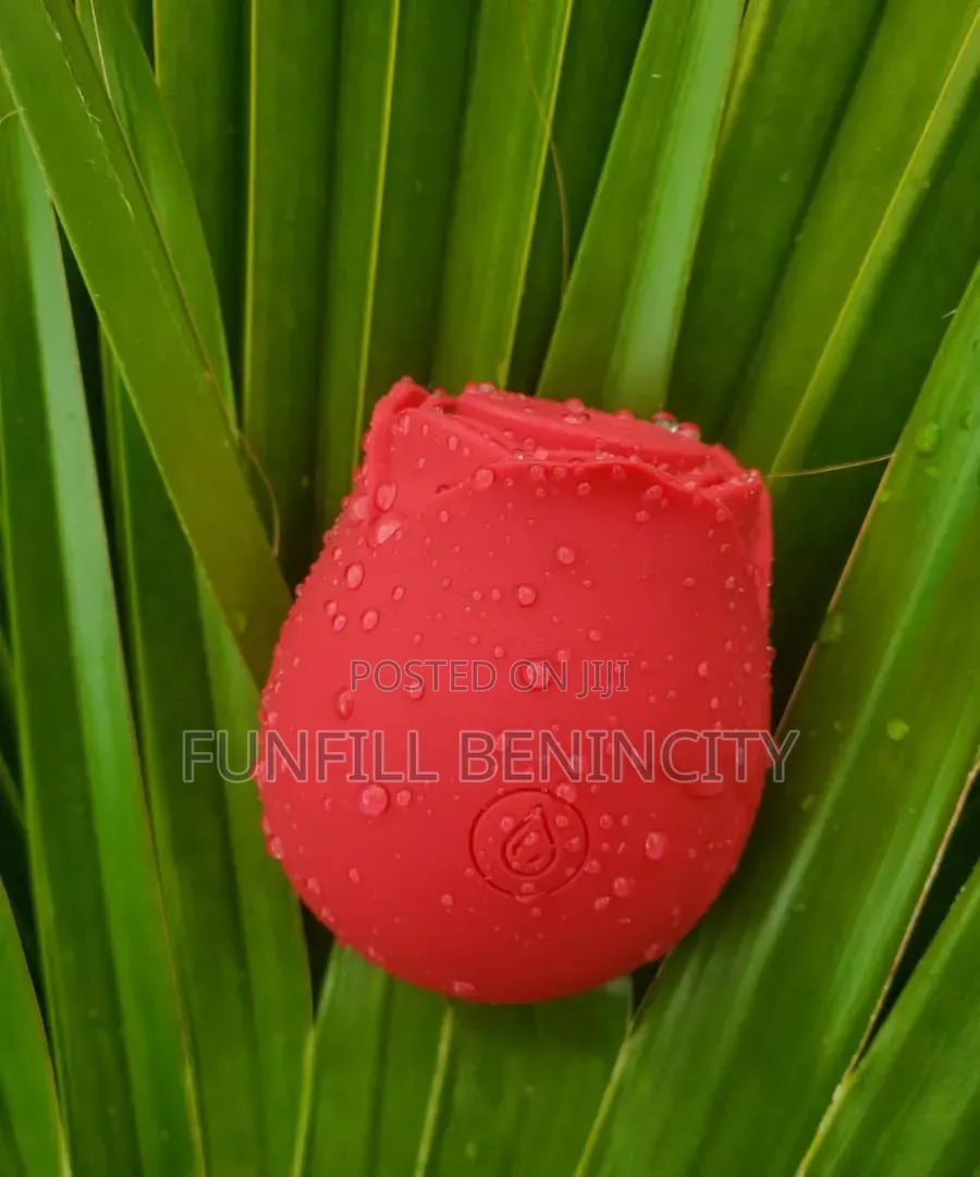 Rose Sucker Vibrator