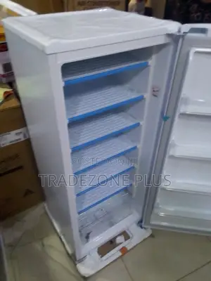 168L Upright LG Freezer – Practical Food Storage Solution