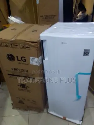 High-Capacity LG 168L Upright Freezer