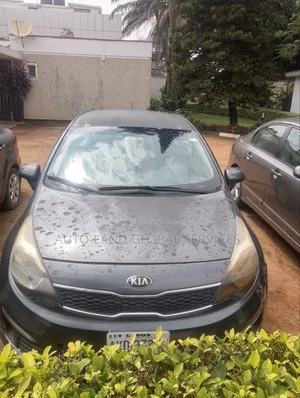Kia Rio EX 4dr Sedan (1.6L 4cyl 6A) 2013 Gray
