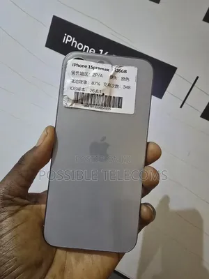 Apple iPhone 15 Pro Max 256 GB Silver