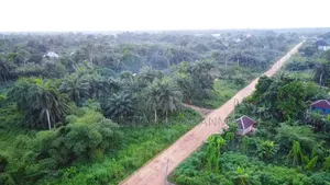 Properties for Sale