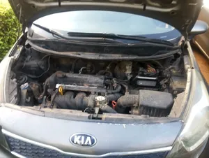 Kia Rio EX 4dr Sedan (1.6L 4cyl 6A) 2013 Silver