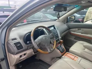 Lexus RX 2009 Blue