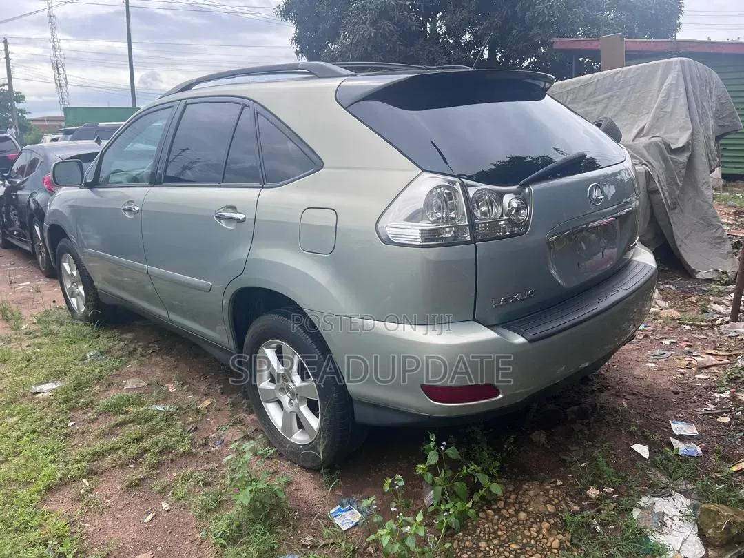 Lexus RX 2009 Blue