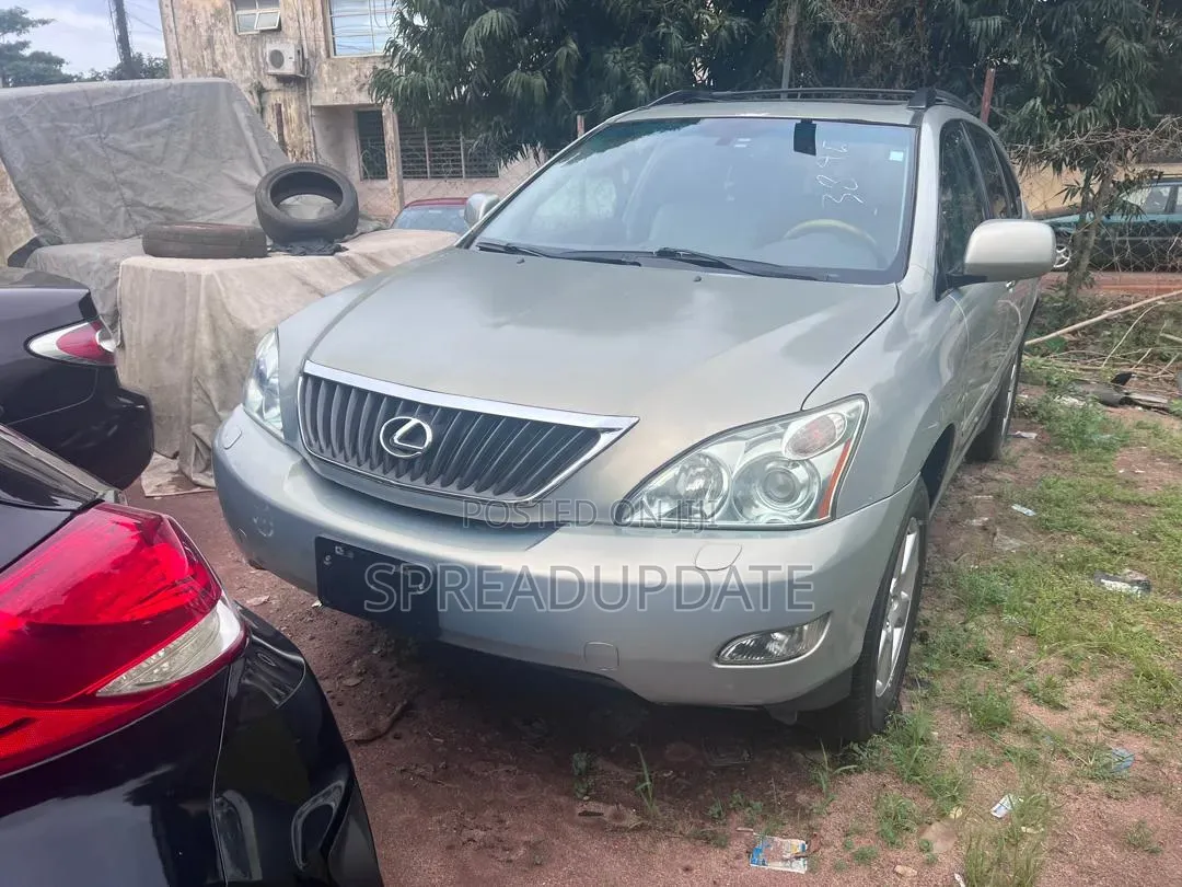 Lexus RX 2009 Blue