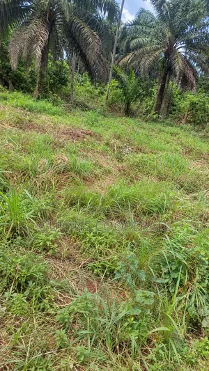 Hot Selling Plots at Ozatta, Abia State For