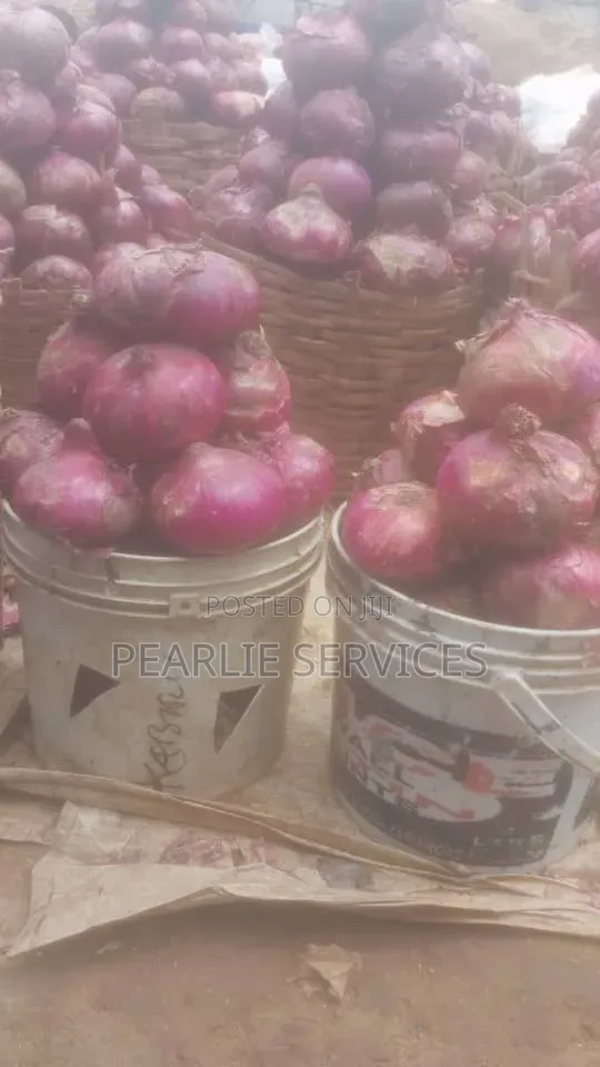 Premium Onions