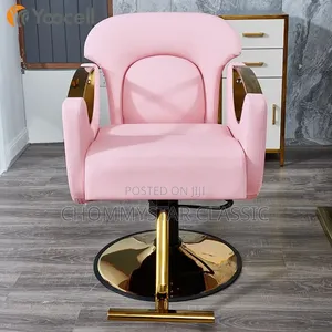 Salon Chair