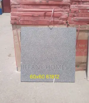 Quality Nigeria Tiles Compound Tiles