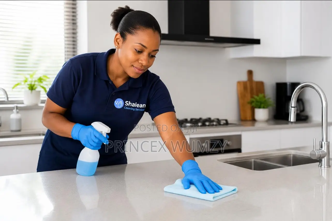 House Cleaning Services Expect!