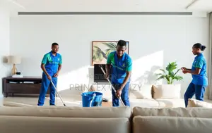 House Cleaning Services Expect!