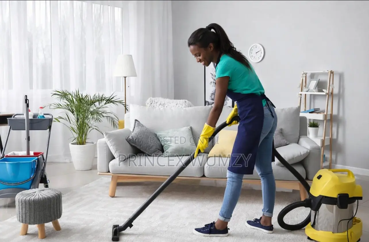 House Cleaning Services Expect!
