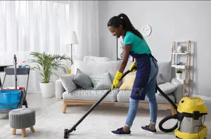 House Cleaning Services Expect!
