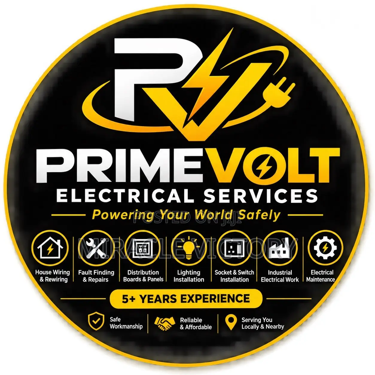Professional Electrician