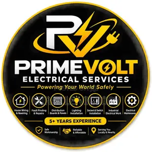Professional Electrician
