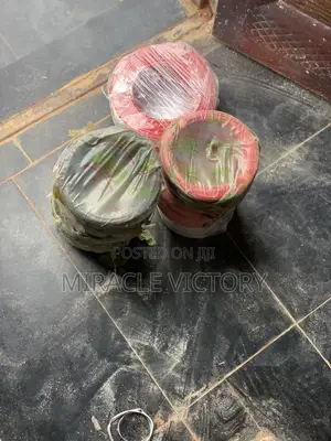 Professional Electrician