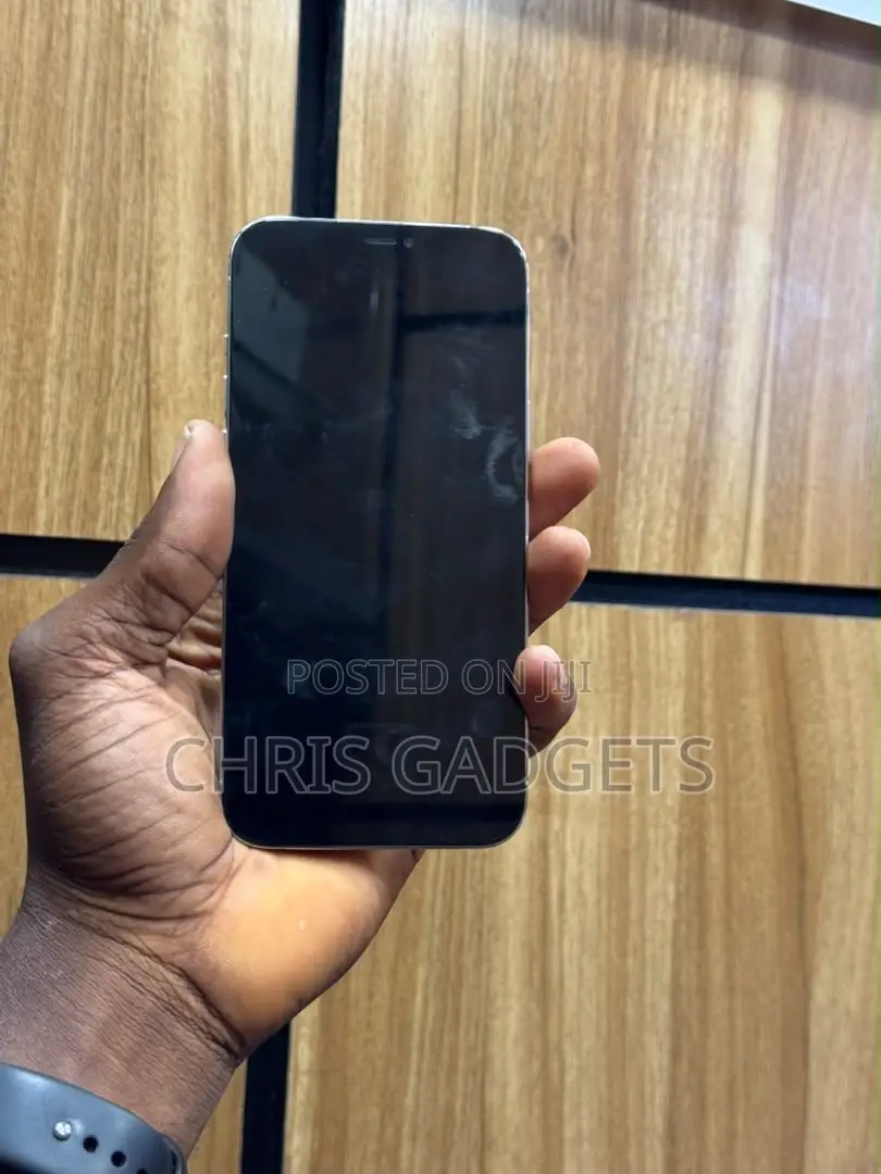 Apple iPhone 12 Pro Max 256 GB White