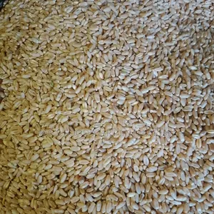 Powered Oat Swallow