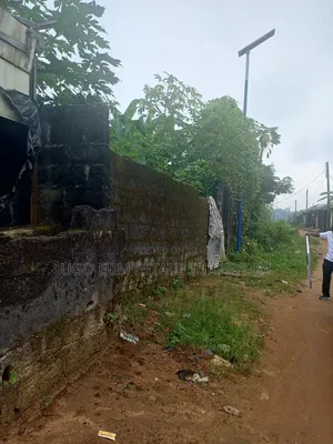 Two Plots of Land