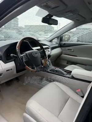 Lexus RX 2010 Black