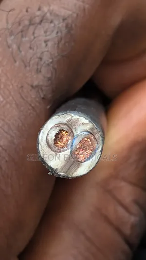 6.0mm 2core Flexible Wire
