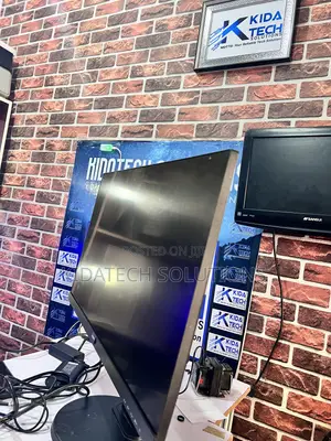 Philips Frameless LCD Monitor