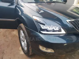 Lexus RX 330 2005 Gray