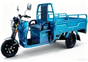 New Tricycle 2026 Green