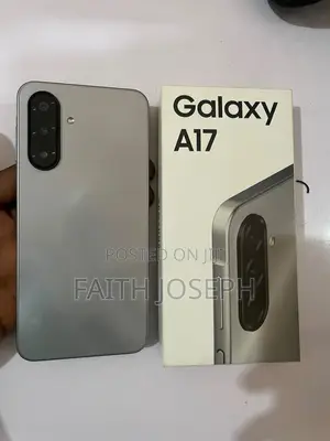 Samsung Galaxy A17 128 GB Gray