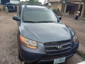 Hyundai Santa Fe 2009 Gray