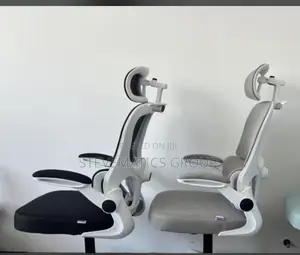 Executive Office Chair