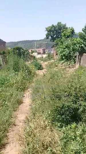 4 Plots of Land