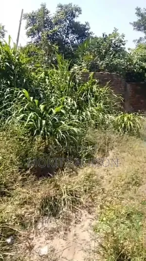 4 Plots of Land