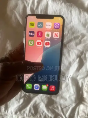 Apple iPhone 11 Pro Max 64 GB Gray