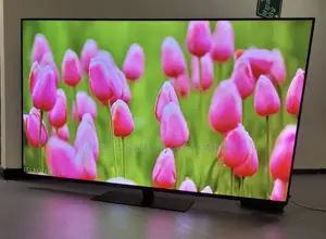 UK Luxury 48 Inches Panasonic OLED 4k UHD Android Google Assistant