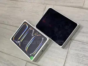 Apple iPad Pro 256 GB Gray