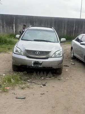Lexus RX 2007 Gray