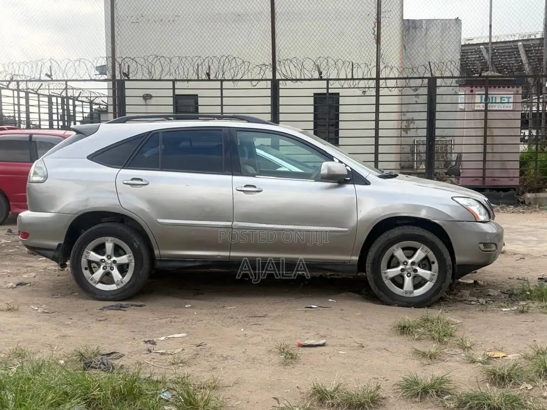 Lexus RX 2007 Gray