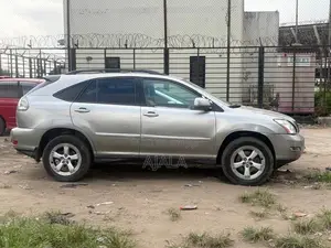 Lexus RX 2007 Gray