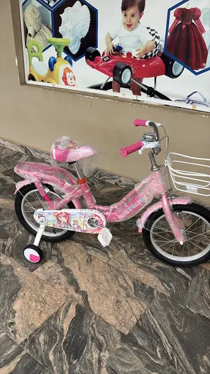 16 Inch Wheels Pink Kids Bicycle