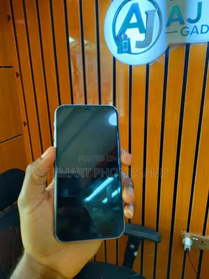 Apple iPhone 11 256 GB Gray