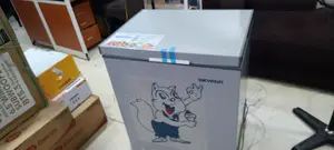 The SKYRUN 145L Freezer Built for Nigerian Power Reality